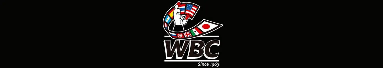 Vasyl Lomachenko Becomes WBC’s Franchise Champion