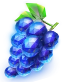 Fruits